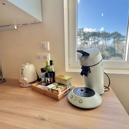 Aux Portes De La Plage, Entièrement Rénovés, Climatisation, Wifi, Parking Gratuit, Linge De Maison Fournit, Ménage En Fin De Compris * Mimizan